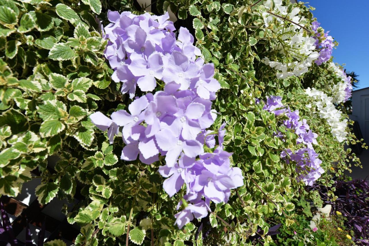 Apartment Lavender Vir Buitenkant foto